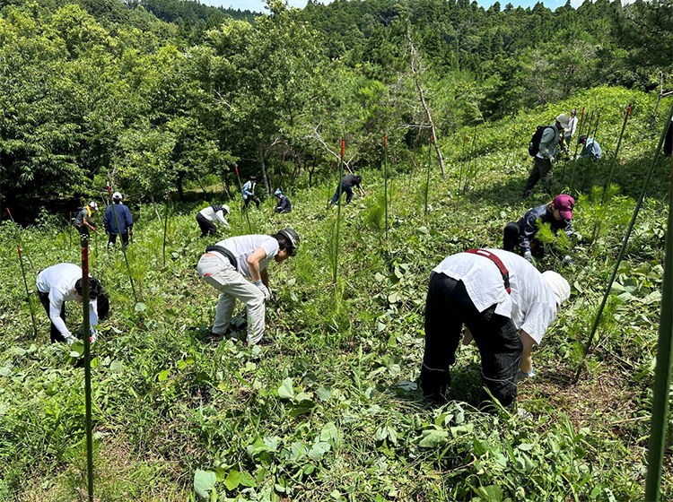 森林保全活動に取り組みました