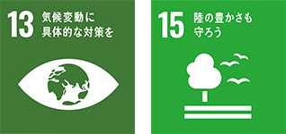 SDGs